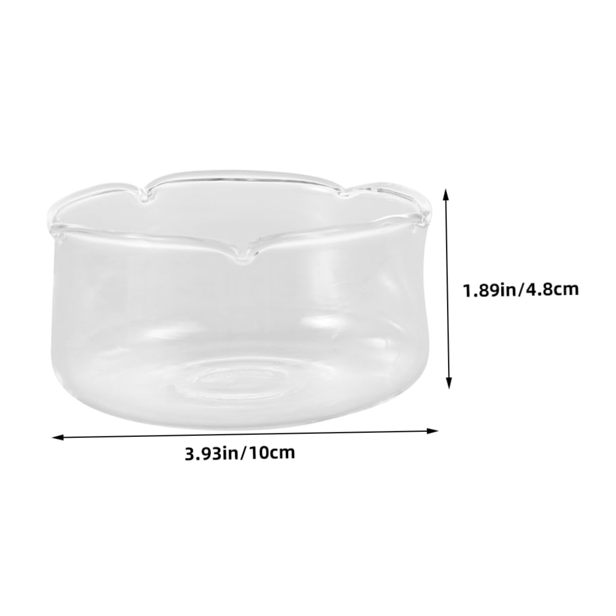 Alipis 2pcs Glass Vase for Hydroponic Plants Elegant Glass Plant Holder for Decor Decorative Fish Tank Terrarium Pot Container