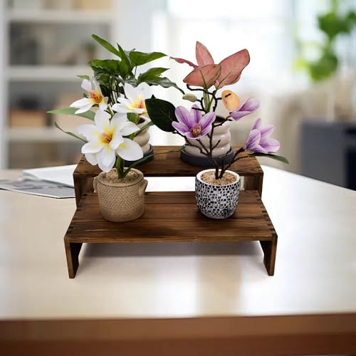 Yikaroeli 4Pcs Large Display Riser Wood Risers Cupcake Display Stand 2 Tier Racks Rectangular, 2 Set Perfume Decorative Display Dessert Stands for Vendors Event (Large/2Pack Brown)