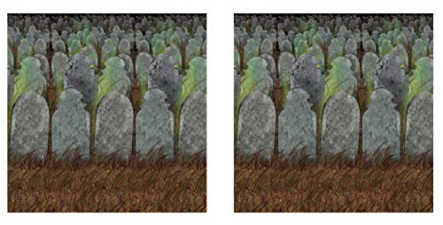 Beistle Graveyard Backdrops – 2 Printed Tombstone Cemetery Plastic Wall Coverings for Halloween Haunted House Party Décor Indoor Spooky Scene Background Display, 4 Ft x 30 Ft Each - style: Graveyard - 2 Piece