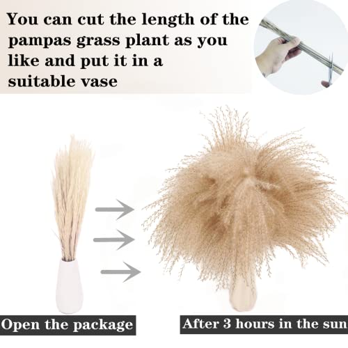 Dried Pampas Grass Decor, 100 Stems Pampas Grass Contains Bunny Tails Dried Flowers, Reed Grass Bouquet for Wedding Boho Flowers Home Table Decor, Rustic Farmhouse Party (17", White and Brown) - size: 100PCS