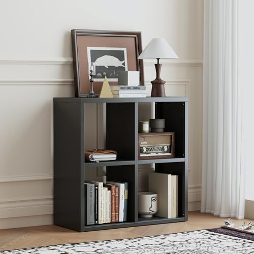 Metal 4 Cube Storage Organizer, Black Bookshelf with Storage, 2 Tier Storage Cubes, Small Horizontal Bookshelf Short Bookcase, TV Stand Metal Display Shelf for Living Room, Office, Study - color: Black, size: 4 Cube