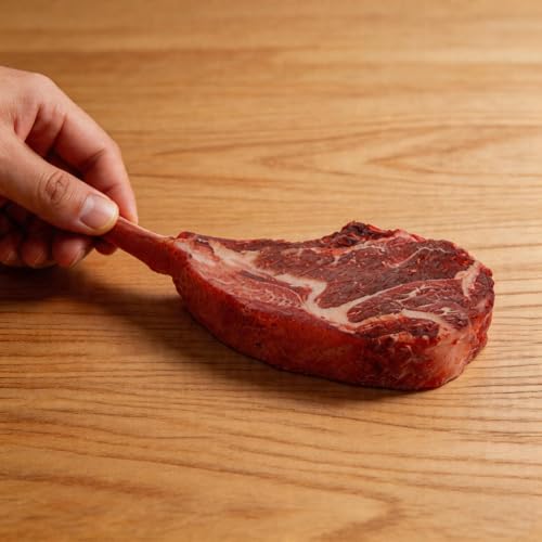 LOGOFUN Lifelike Artificial Steak Beef Model Fake Realistic Meat Photography Prop for Kitchen Display Restaurant and Cabinet Party Decoration