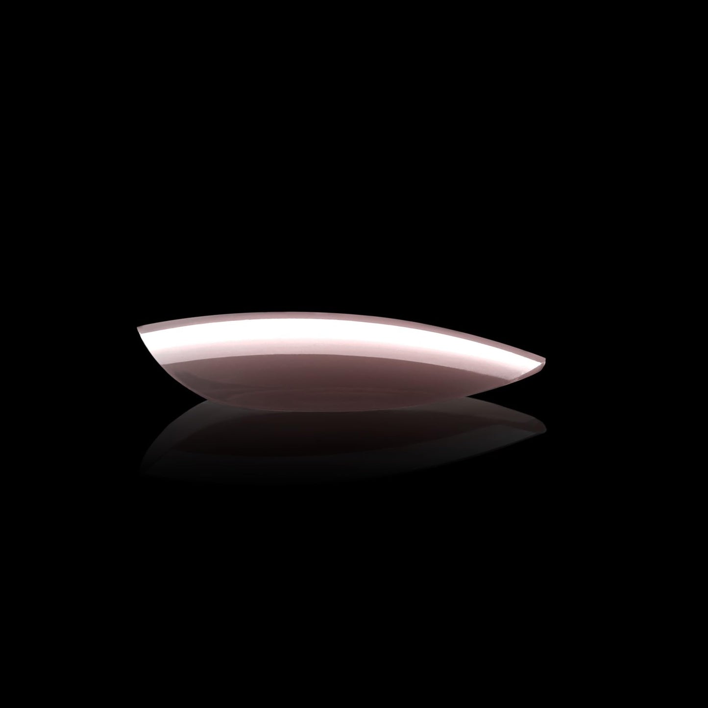 Apres Neutrals Gel-X Mia Box Of Press On Nails, 11 Sizes 00-9, Soft Gel Nail Tip Box (150pcs) (Natural Round Medium, 150pcs)