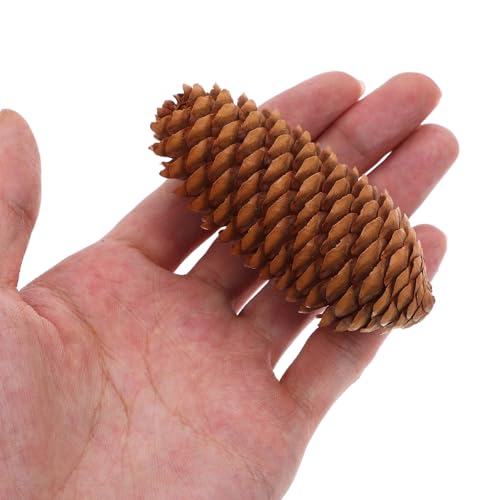 LUOEM Natural Forest DIY Craft Set Rustic Pine Cones Leaves Dried Flowers Ornaments Photo Booth Props Home Decor