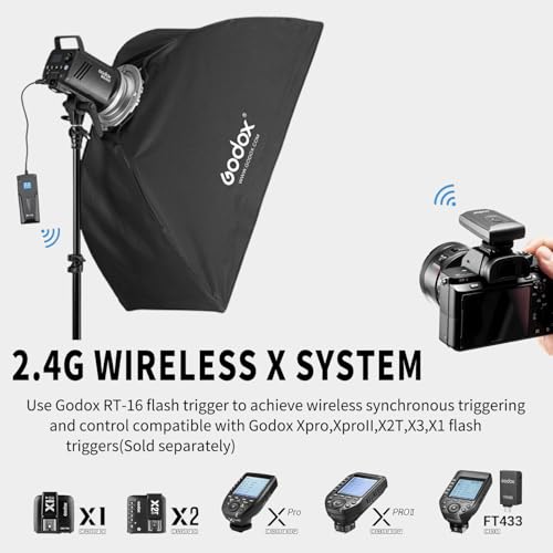 2pcs Godox MS300 Studio Flash Kit for Photography Lighting,600W Professional Bowens Mount Strobe Flash Monolight with Softbox,Trigger,Stands,Umbrellas,Reflectors for Photo Product Portrait Shooting