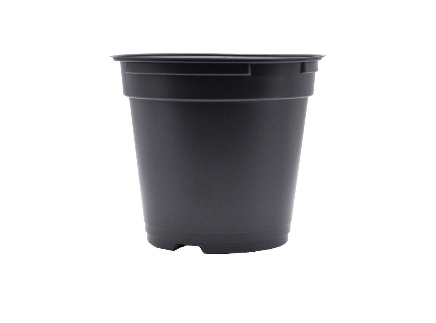 Daisy J&M 100ct Black Round 4.33" Pots with Holes