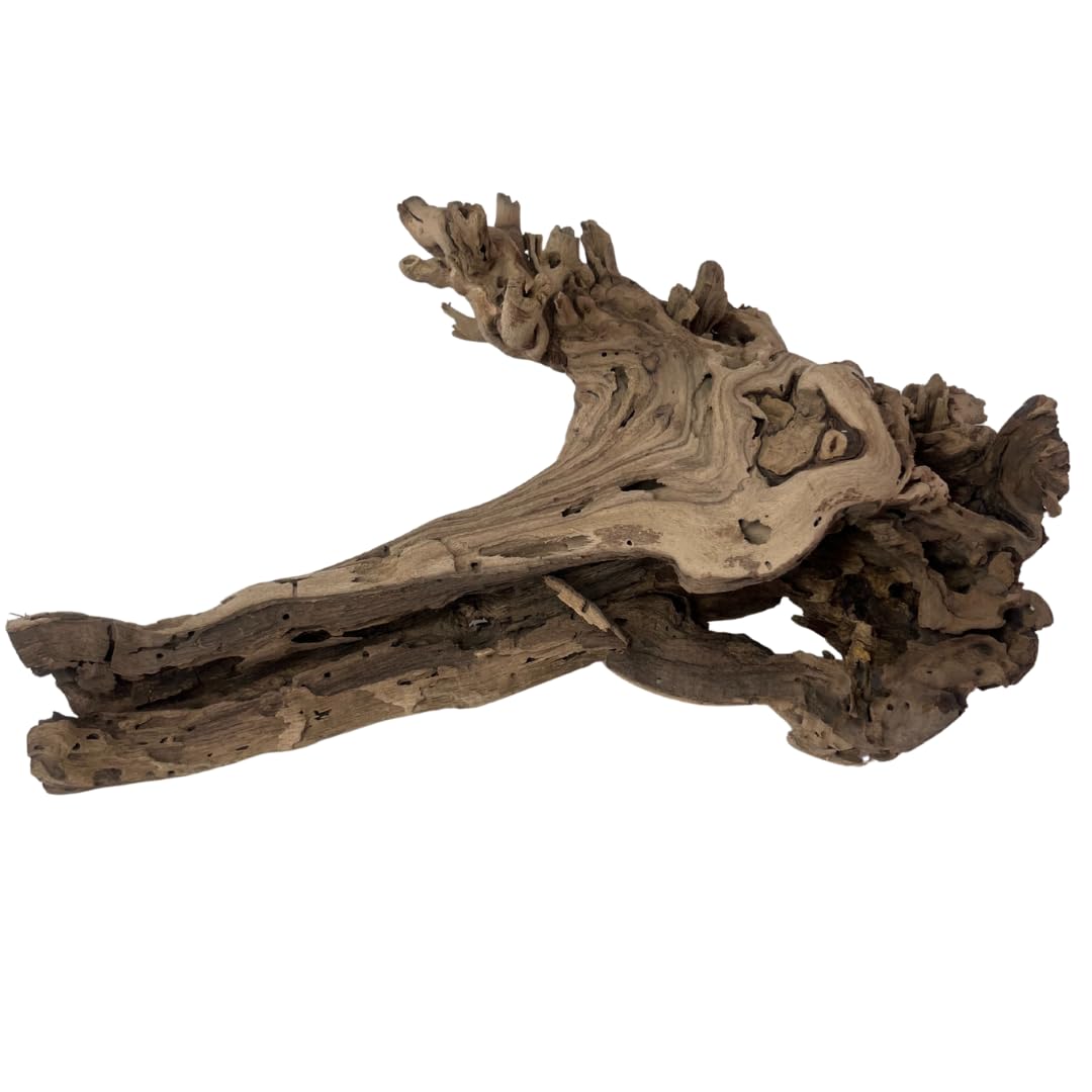 Koyal Wholesale 12" Sandblasted Grapevine Wood for Hamsters, Reptiles Terrarium, Exotic Untreated Grapewood Branch for Decoration Home Wedding DIY