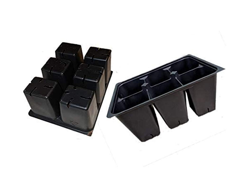 AAAmercantile Seed Starter Trays 300 DEEP Extra Large Cells Total (50 Trays of 6 Cells Each)