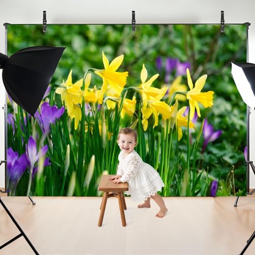 5x7ft Photography Backdrop Springtime Bunch Wild Yellow Daffodil Narcissus pseudonarcissus Photo Backdrop Photography Background for Photoshoot Portrait Video Party Photo Studio Prop Booth - color: Color2