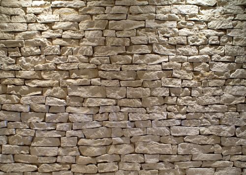 6x4ft Fabric Stone Wall Backdrop Ancient Rock with Light Background Brick Stone Wall Textured Backdrops Home Garden Wallpaper Birthday Party Cake Table Decor Photo Props - size: 6x4FT