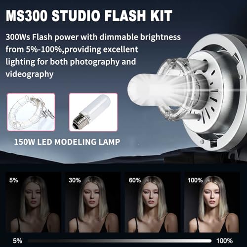 2pcs Godox MS300 Studio Flash Kit for Photography Lighting,600W Professional Bowens Mount Strobe Flash Monolight with Softbox,Trigger,Stands,Umbrellas,Reflectors for Photo Product Portrait Shooting