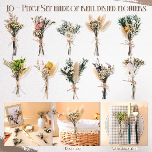 Nuanchu 10 Pcs Mini Dried Flower Bouquet Mixed Natural Dried Flowers with Stem Boho Plant Stem Bunch for DIY Craft Card Home Party Photo Props Wedding Decor, 5 to 6 inches(Boho Styles) - style: Boho Styles