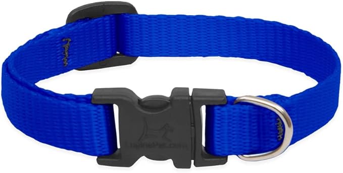 LupinePet Basics 1/2" Purple 10-16" Adjustable Collar for Small Dogs
