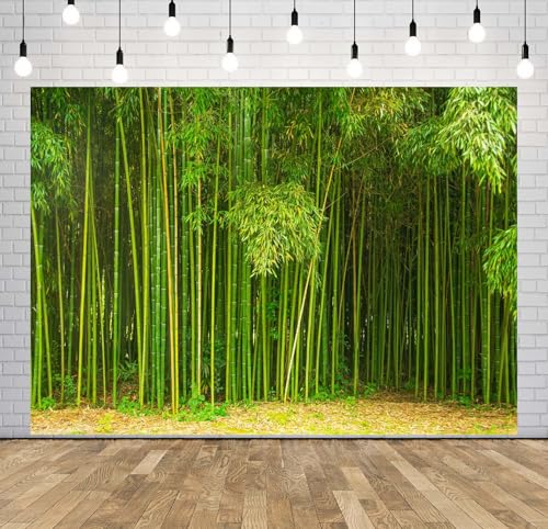 8x6ft Fabric Bamboo Forest Backdrop Park Green Bamboo Trees Forest Natural Texture Photography Background Natural Home Wallpaper Decor Photo Props - size: 8x6FT