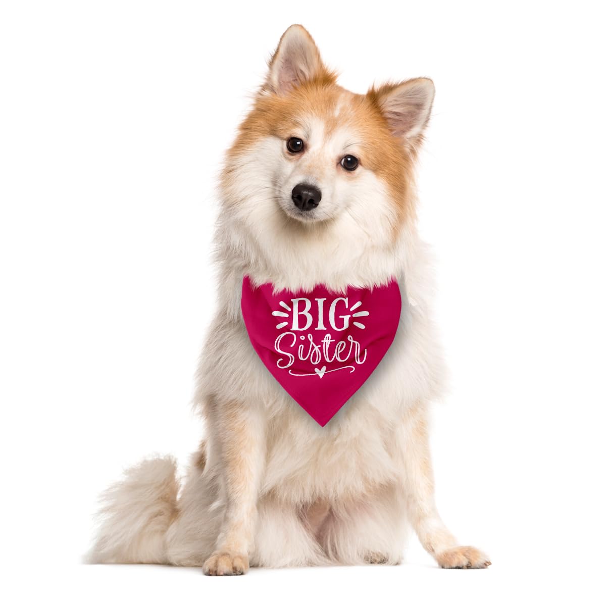 Big Sister Dog Bandana, White Pet Triangle Scarf Accessories, Pet Bandana for Large Dogs, Baby Announcement Dog Bandanas (L)