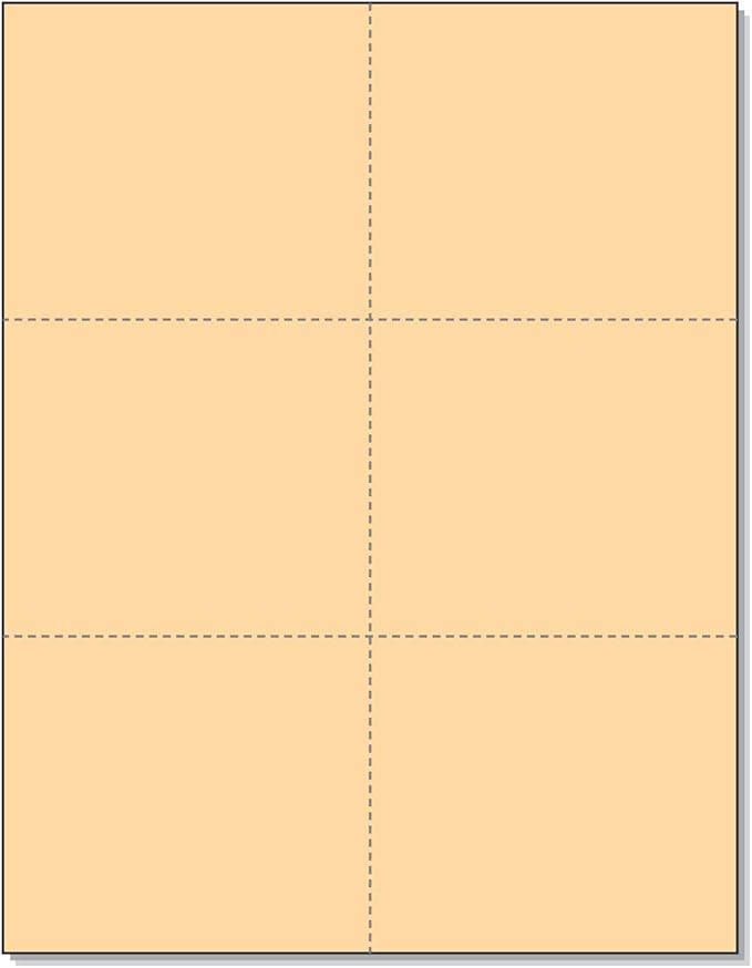 NextDayLabels - Blank Perforated Cards 6 up per Page, for School, Flower, Inventory, Wedding, Trip, etc. (Buff, 300 Cards)
