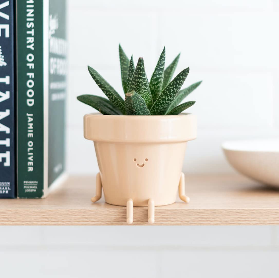 Cute Indoor Plant Pots Set of 3, Unique Plastic Succulent Pots for Plant Lovers (Plants NOT Included)
