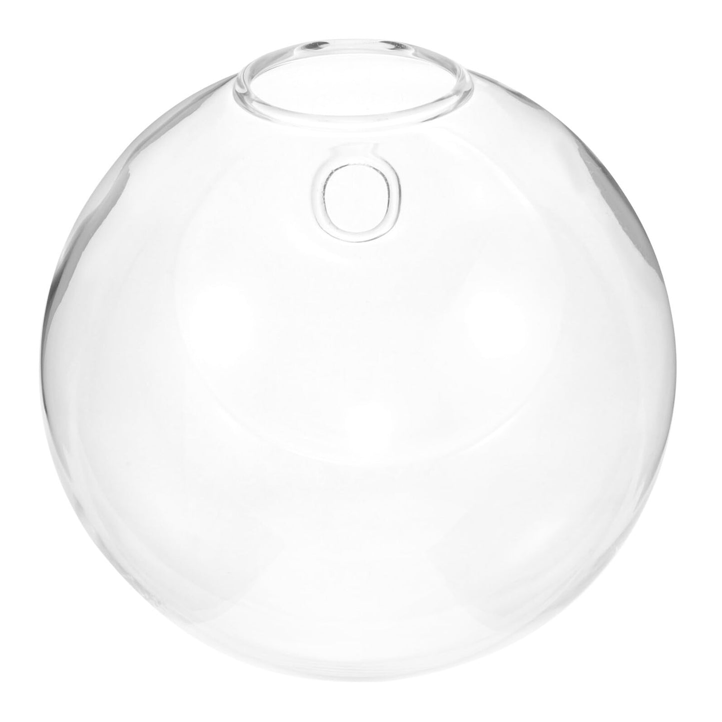 BEBEMOKO Hydroponic Glass Vase Wall Hanging Planter 15cm Terrarium Bottle for Indoor Plant Propagation and Home Décor with Non-Marking Hook