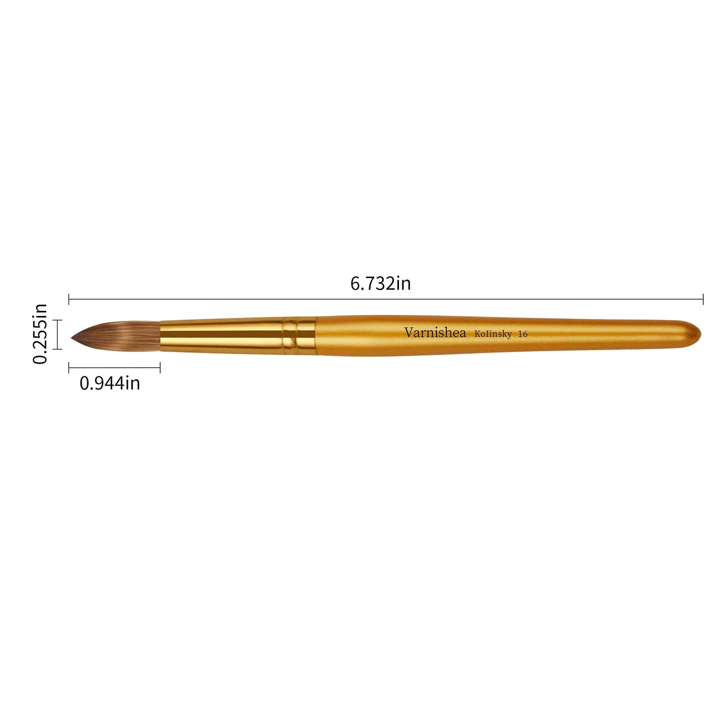 varnishea Kolinsky Acrylic Nail Brush Golded Solid Wood Handle Professional Manicure Brushes for Powder Nail Acrylic Application - Salon & DIY Nail Art Essentials - Size 16, 1.0 Count