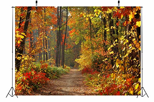 BELECO Autumn Scenery Backdrop Fabric 5x3ft Fall Woods Path Deciduous Background Forest Mountain Road Photography Backdrop Home Decor Autumn Theme Party Backdrop Kids Adults Portrait Photo Props