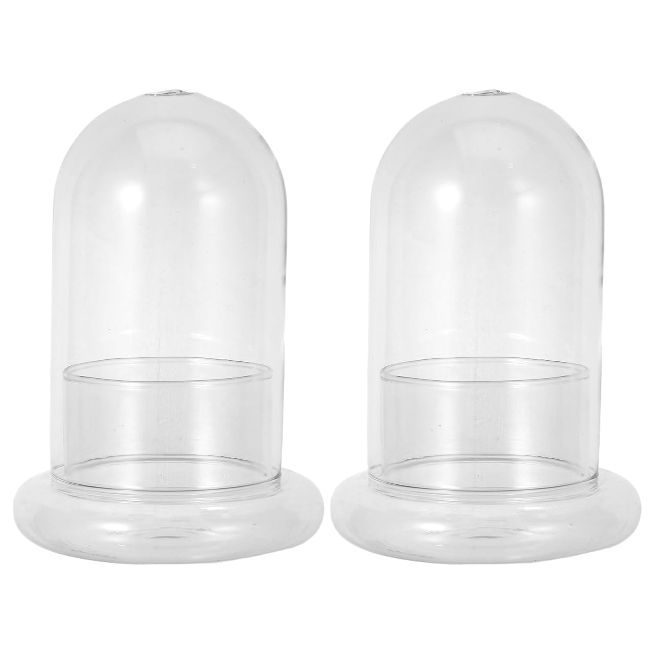 Yardwe 2Pcs Micro Landscape Bottle Terrarium Glass Jars - 6.69X4.72X4.72In Ecological Decorative Bottles for Home Office DIY Plant Display