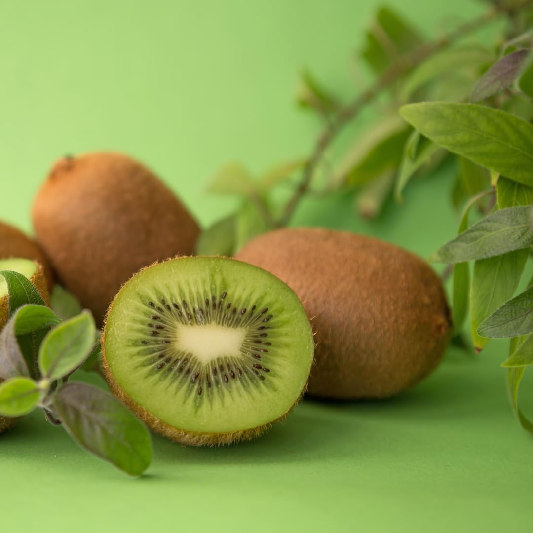 Pack 2 High-Yielding Kiwi Trees Live Plants Vine for Planting, Starter Size, 4 to 6 Inches in Tall, No Pot, Sweet and Hardy Tree