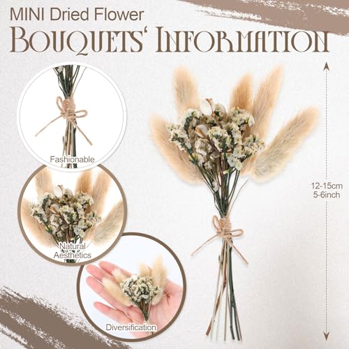 Nuanchu 10 Pcs Mini Dried Flower Bouquet Mixed Natural Dried Flowers with Stem Boho Plant Stem Bunch for DIY Craft Card Home Party Photo Props Wedding Decor, 5 to 6 inches(Boho Styles) - style: Boho Styles