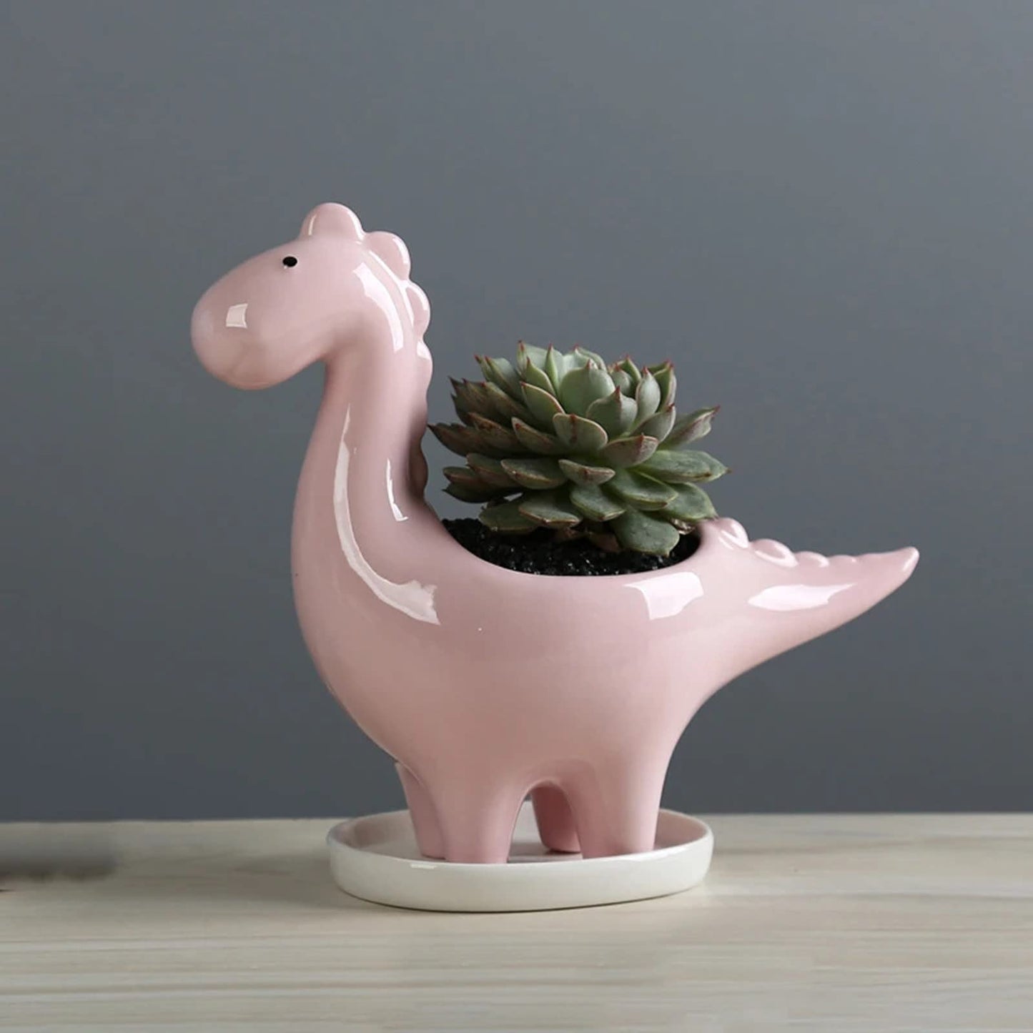HEALT Ceramic Dragon Succulent Planter Pot with Drainage Holes, Animal Shaped Indoor Air Plants Holder, Flower Pot Cactus Container for Indoor Outdoor Desktop Decoration (Pink)