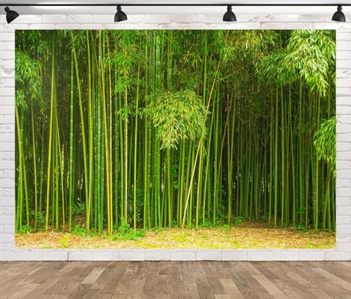 8x6ft Fabric Bamboo Forest Backdrop Park Green Bamboo Trees Forest Natural Texture Photography Background Natural Home Wallpaper Decor Photo Props - size: 8x6FT