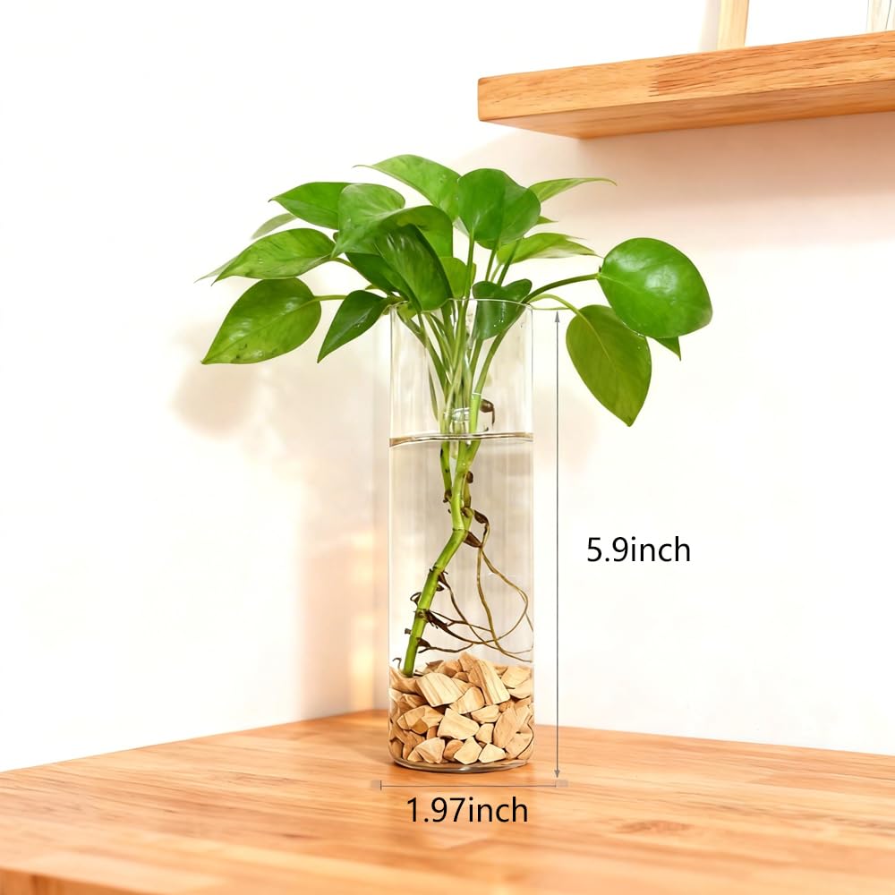 Bunhut Wall Planters for Indoor Plants, 4 Pack Glass Wall Planters for Propagation, Hanging Terrarium Planters with Hooks for Hydroponic Plants, Flowers, Home Office Bathroom Decor