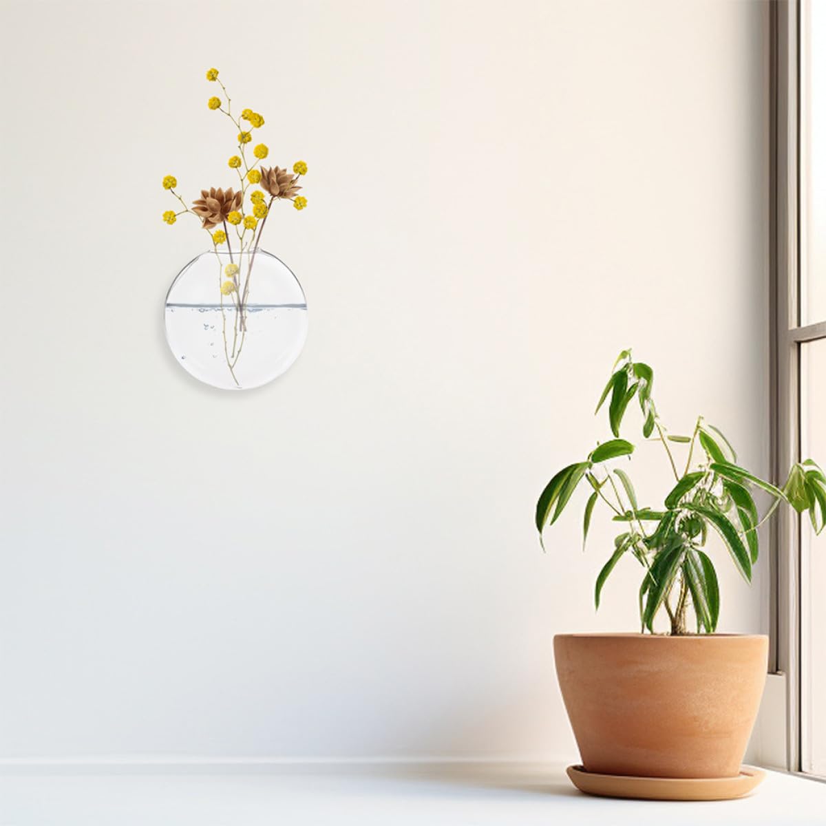 Ipetboom 6pcs Wall Hanging Hydroponic Glass Vases Small Plant Terrariums Indoor Decorative Glass Flower Pots for Home Décor