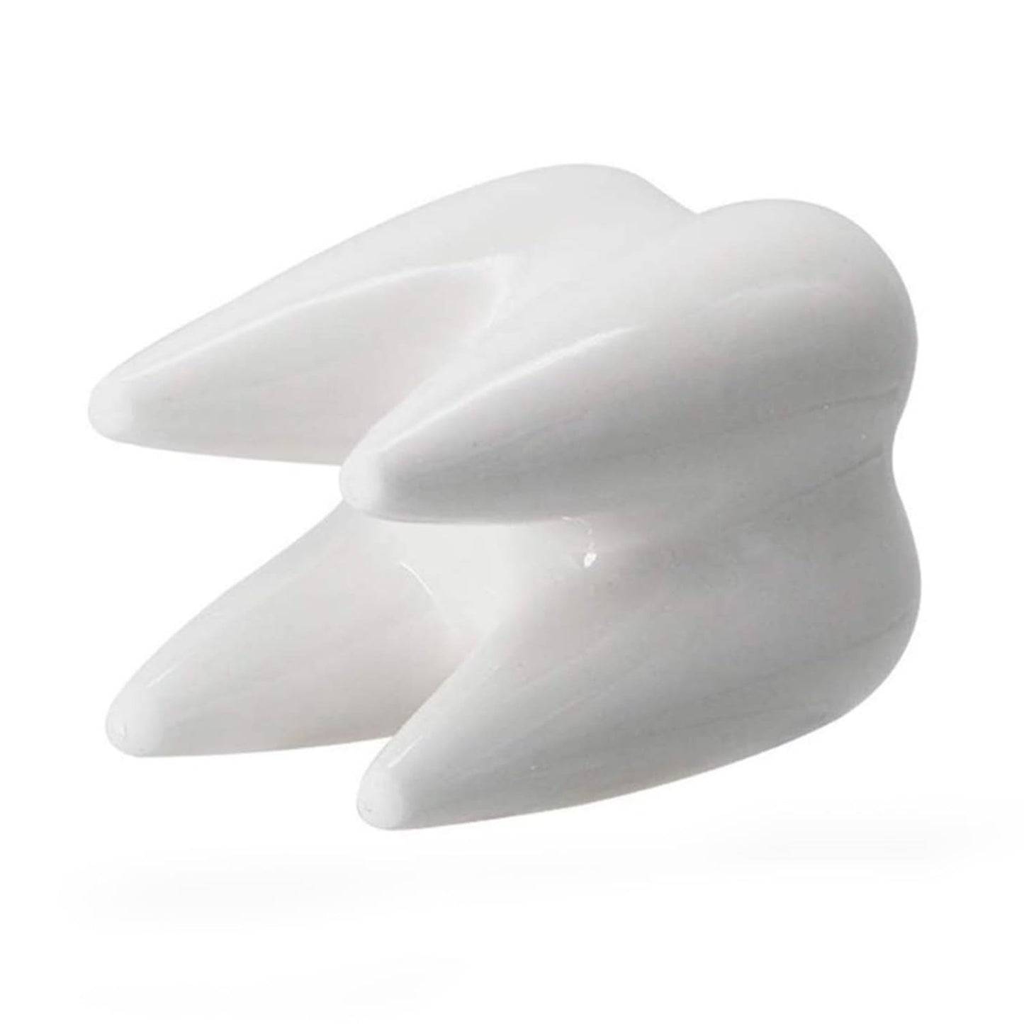 LECMACY Cute Tooth Shaped White Ceramic Planter Pots Flower Plant Containers, Mini Ceramic Succulent Planter Pots, Creative Pen Pencil Holder for Office Home Desk Decor, Plants Not Included (4 Pcs)