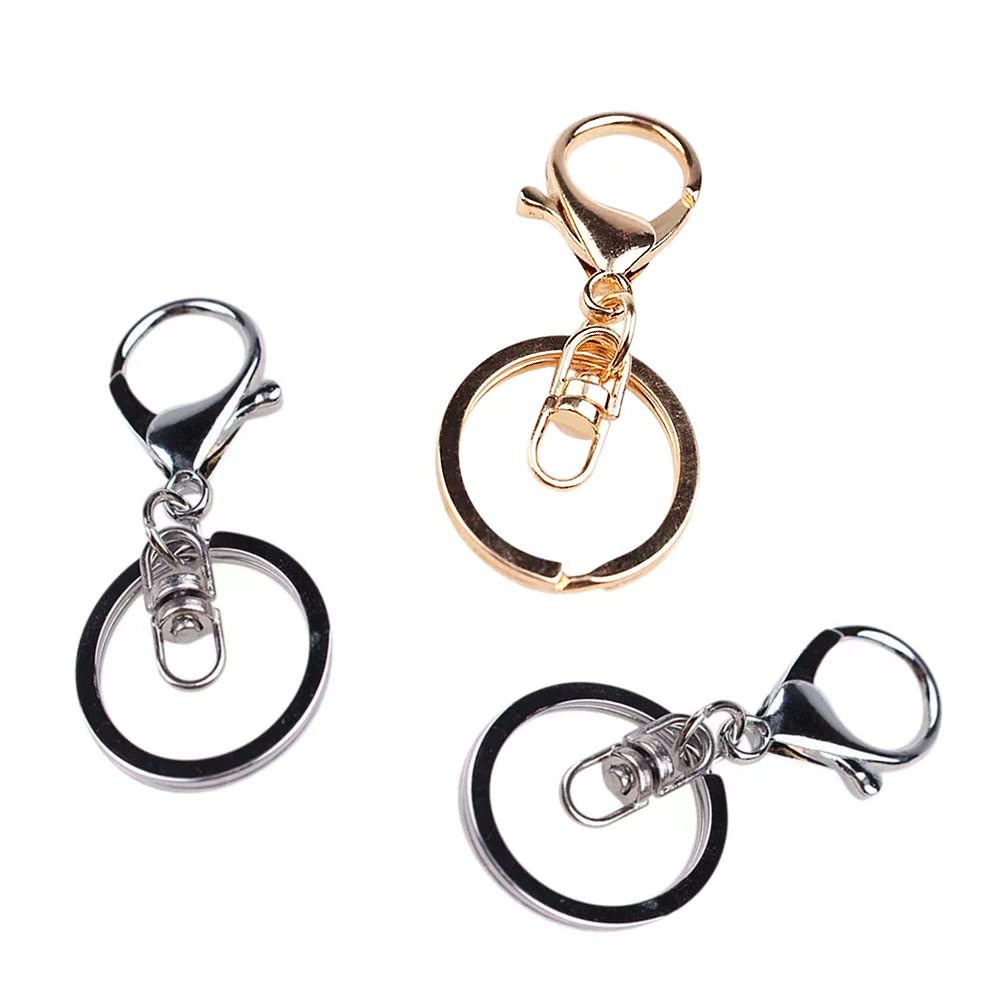 Lobster Claw Clasp Key Chain Rings Kit-20 PCS Clasps Lanyard Snap Hooks with Split Key Rings, Gold/Silver Keychain Clip Hooks Keychain Ring Carabiner Buckles for Leather Crafts DIY Project- 2 Color