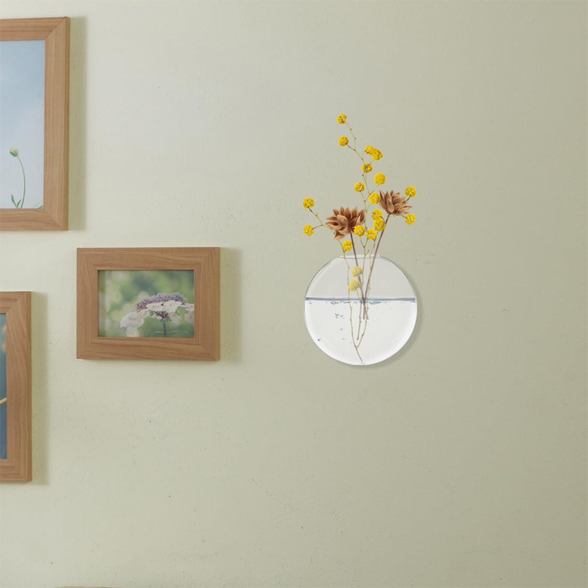 ULTECHNOVO 6pcs Wall Mounted Glass Flower Vases Hydroponic Planter Flat Glass Terrarium Pots for Home Décor and Indoor Plants