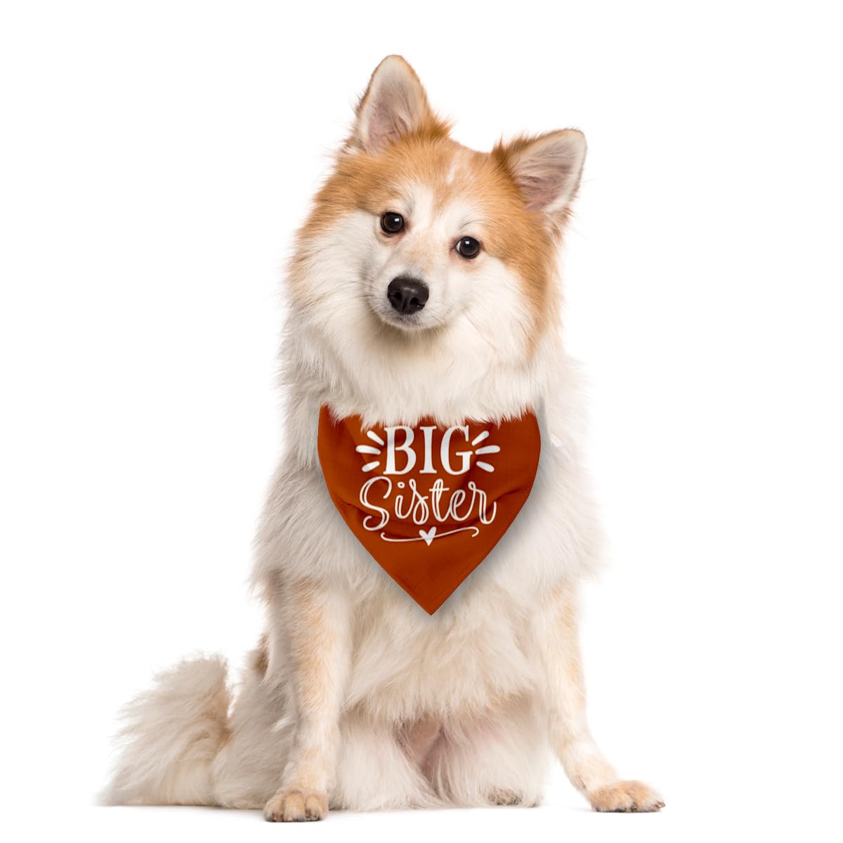 Big Sister Dog Bandana, White Pet Triangle Scarf Accessories, Pet Bandana for Large Dogs, Baby Announcement Dog Bandanas (L)