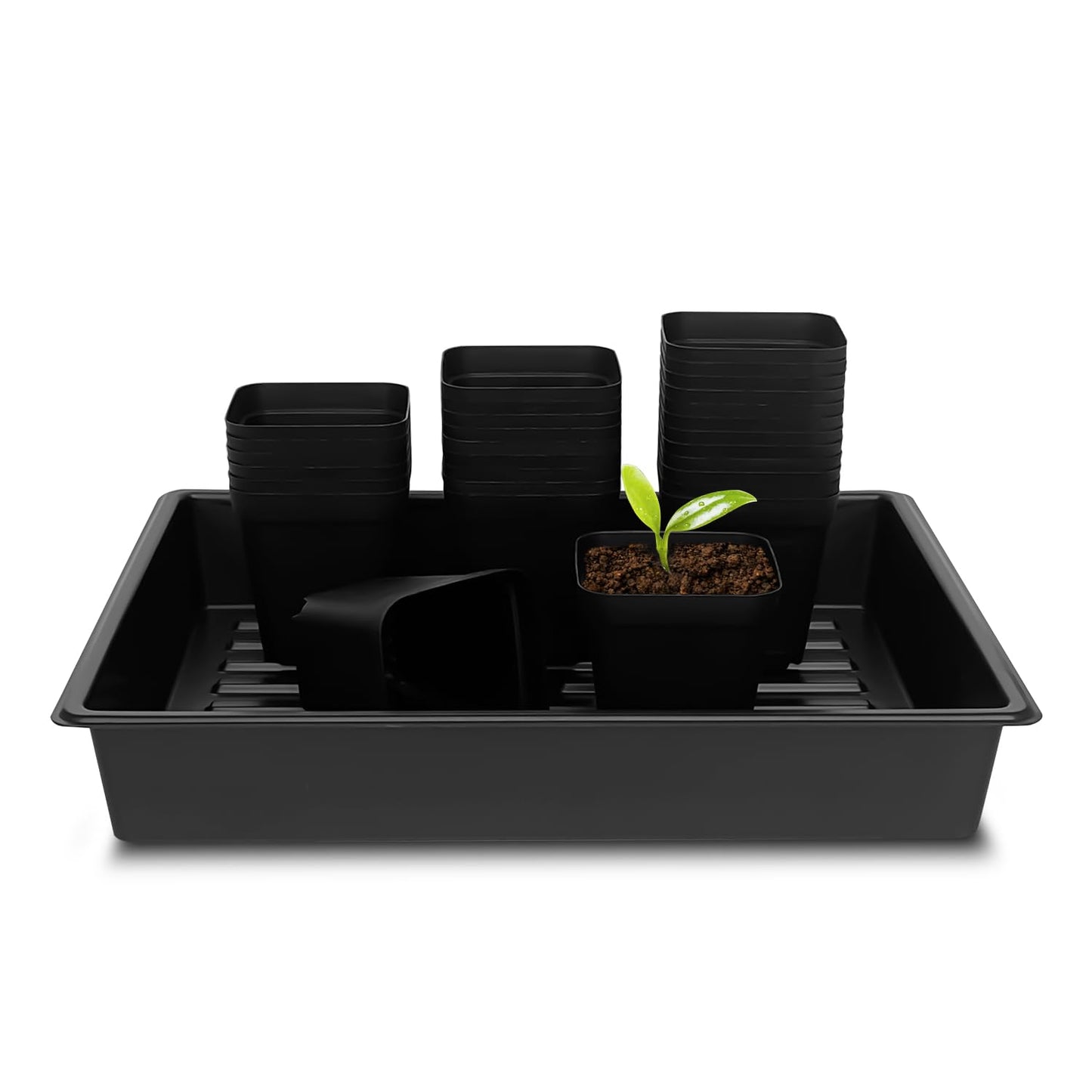 RooTrimmer 4 inch (10CM) Square Nursery Pots 60pcs, Sturdy Seedlings Trays 5 Pcs, Seeds Starter Germination Tray, Microgreening Planter Nursery Propagation 5 Sets