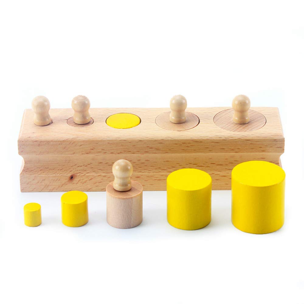 DANNI Upgraded Montessori Materials Colorful Socket Cylinder Preschool Intellectual Development Kids Educational Toys Children Gift (B)