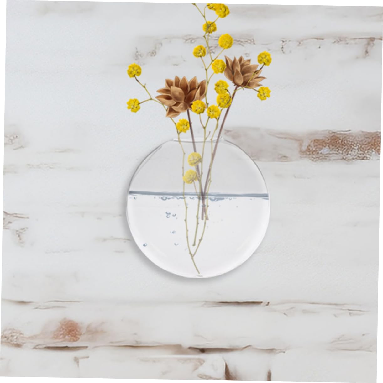 SOLUSTRE 2Pcs Clear Wall Vase Transparent Glass for Indoor Plants Space Saving Wall Decor for Home Office Easy Maintenance Terrarium