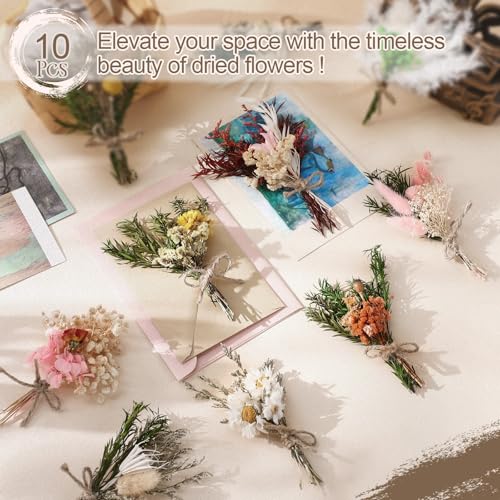 Nuanchu 10 Pcs Mini Dried Flower Bouquet Mixed Natural Dried Flowers with Stem Boho Plant Stem Bunch for DIY Craft Card Home Party Photo Props Wedding Decor, 5 to 6 inches(Classic Styles) - style: Classic Styles