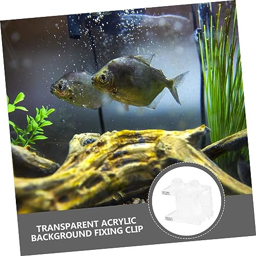 HANABASS 2Pcs Transparent Acrylic Fish Tank Backdrop Clips Durable Aquarium Background Fixing Clamps Easy to Install Suitable for Front Back Use for Fish Tank Decor