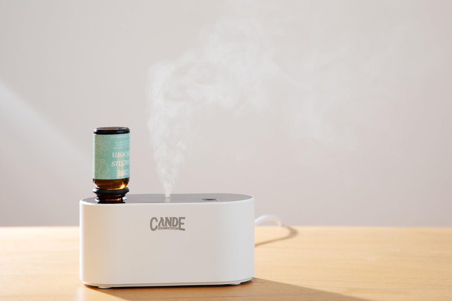 CE CRAFT Waterless Travel Diffuser Gift Set - Rechargeable Diffuser for Aromatherapy - Includes 3 Fragrance Oils - Fragrance Dispenser for Office and Home - Clean, White
