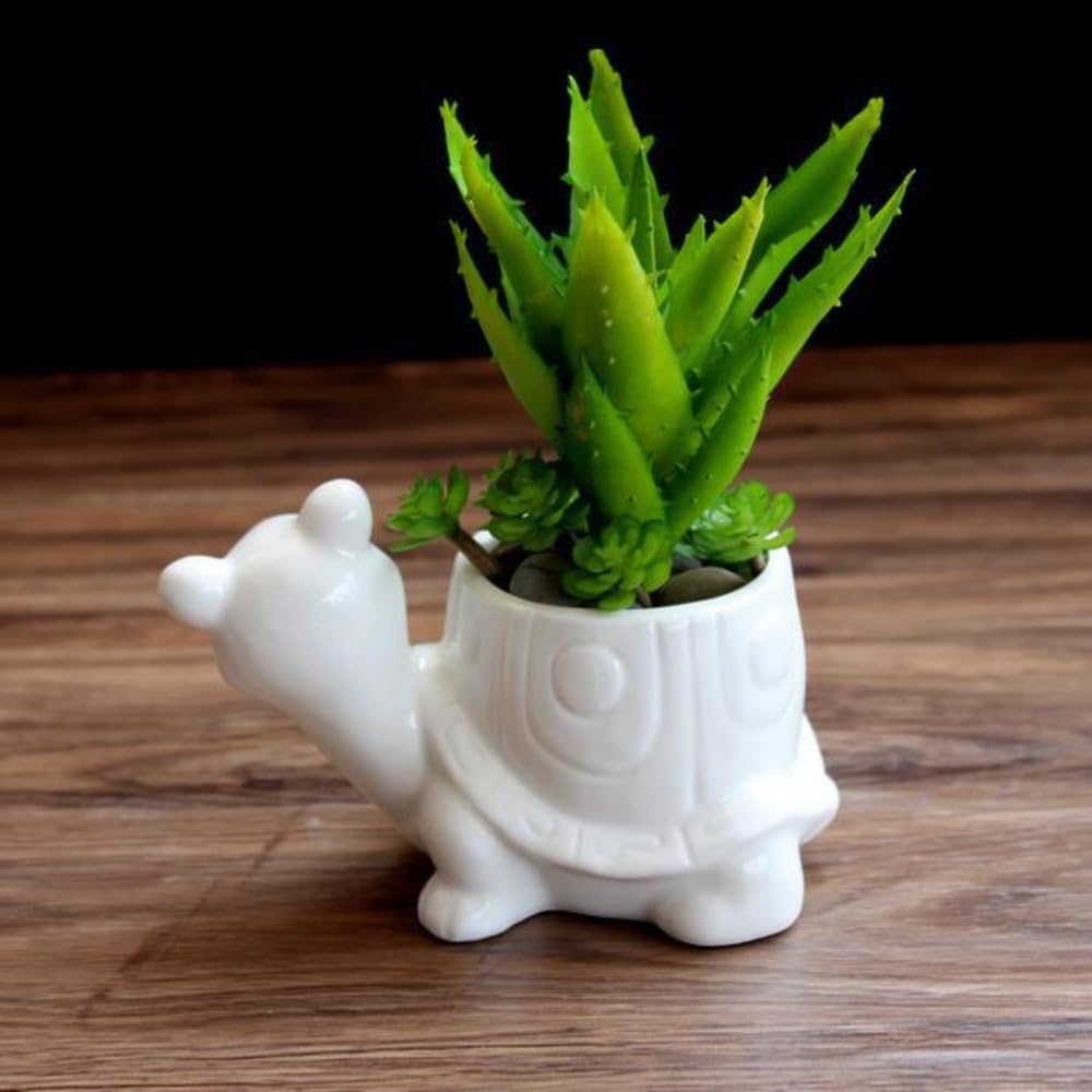 Ceramics Succulent Pot Animals Planter/Plant/Flower/Bonsai Pot Ornament for Herb, Succulent,Cactus Container for Home Balcony Desk Decoration (Turtle)