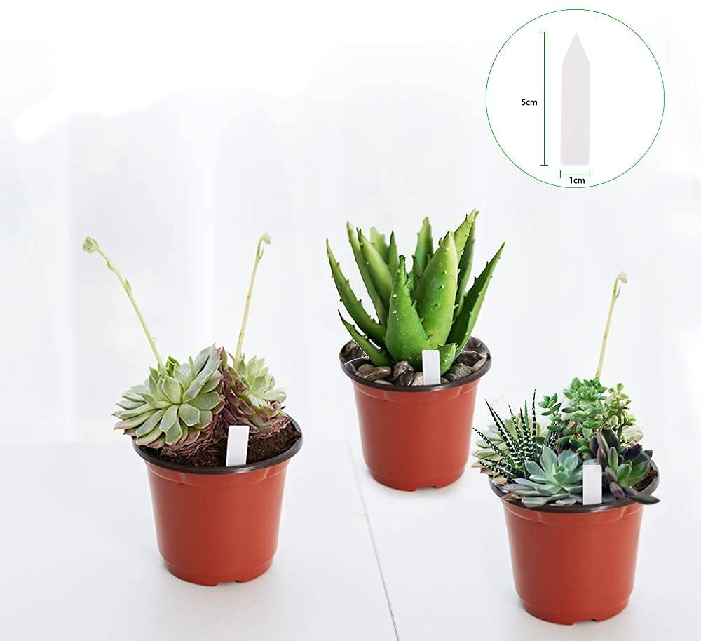 JERIA 100-Pack 4 Inch Plastic Plant Nursery Pots Come with 100 Pcs Plant Labels, Seedling Flower Plant Container and Seed Starting Pots