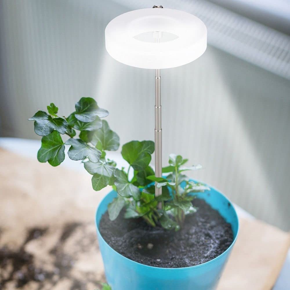 Andy's Orchids LED Grow Light, Adjustable Height, Full Spectrum, 360 Lumen, 40 LED Beads, USB Powered, White, Acrylic & Metal, Modern Design, Indoor Use