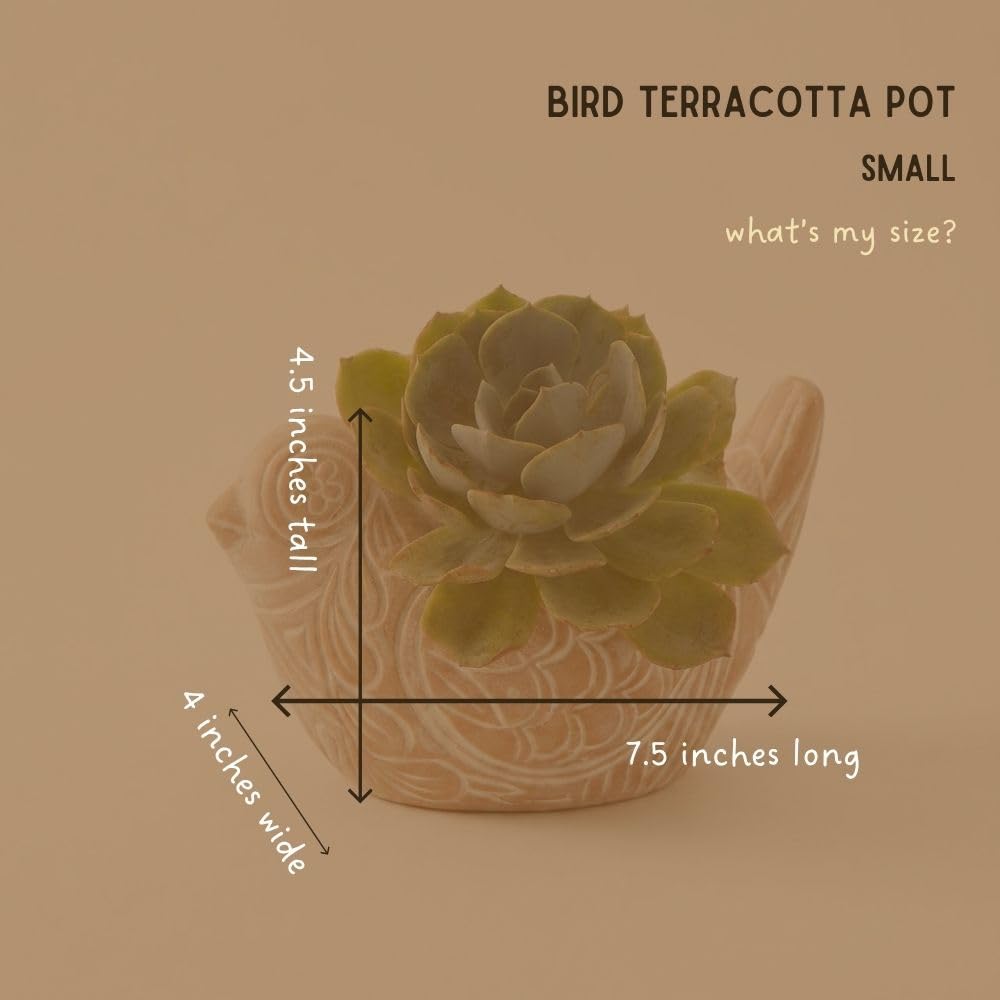 Potthing Terracotta Bird Shape Pots (Set)