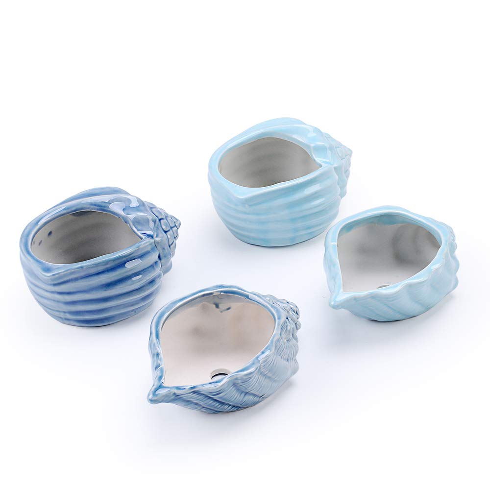 Bonsai Pots 5.5 Inch Blue Conch Ocean Series Ceramic Base Serial Set Succulent Plant Pot Cactus Plant Pot Flower Pot Container Planter With Drainage Hole Gift Idea 4 In Set(Plants Not Included)