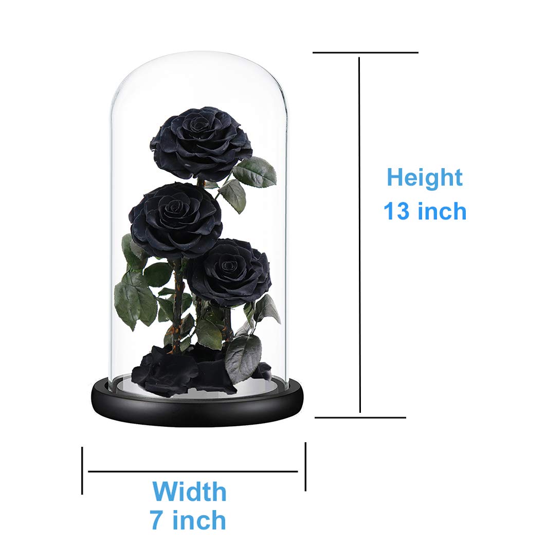 Preserved Roses Handmade Preserved Flowers in Glass Dome, Black Roses Never Withered, Birthday Gifts for Her (13 inch)