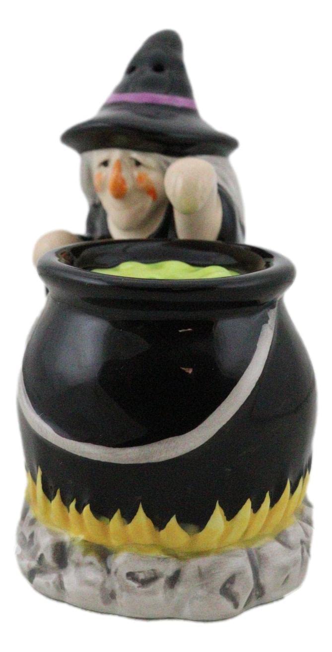Ebros Gift 'Double Double Toil And Trouble Fire Burn And Cauldron Bubble' Black Potion Magic Witch And Large Cauldron On Fire Hearth Salt Pepper Shakers Set Ceramic Figurines