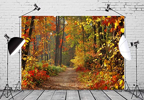 BELECO Autumn Scenery Backdrop Fabric 5x3ft Fall Woods Path Deciduous Background Forest Mountain Road Photography Backdrop Home Decor Autumn Theme Party Backdrop Kids Adults Portrait Photo Props