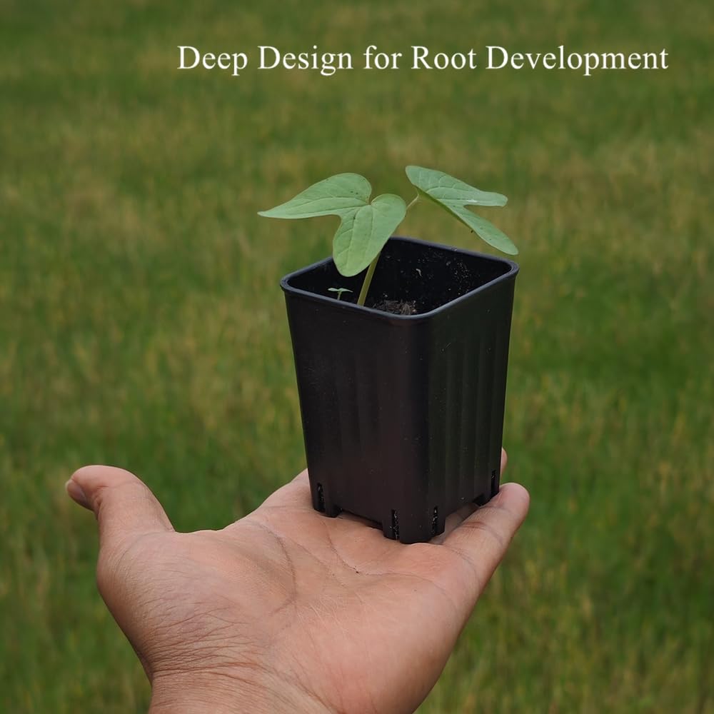BangQiao 120 Pack 2.40 Inch Small Black Plastic Square Nursery and Seedling Pot, Deep Transplant Seed Starter Planter with Drain Hole for Germination, Herb, Succulent